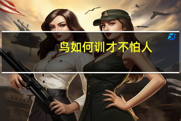 鸟如何训才不怕人