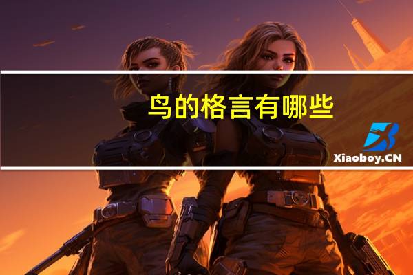鸟的格言有哪些