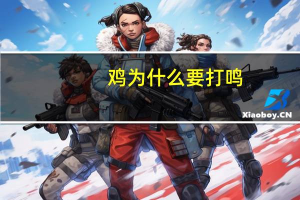 鸡为什么要打鸣？