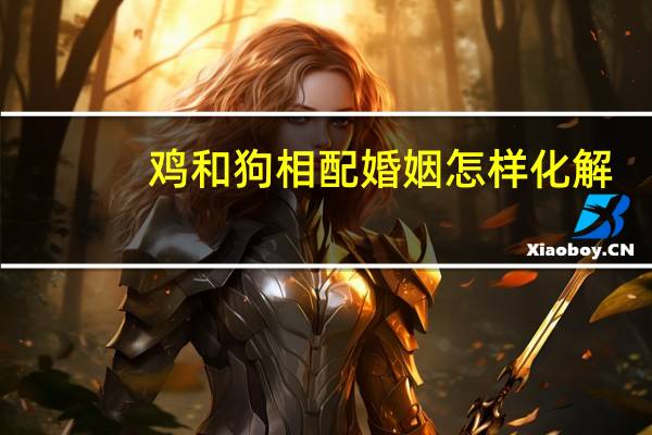 鸡和狗相配婚姻怎样化解