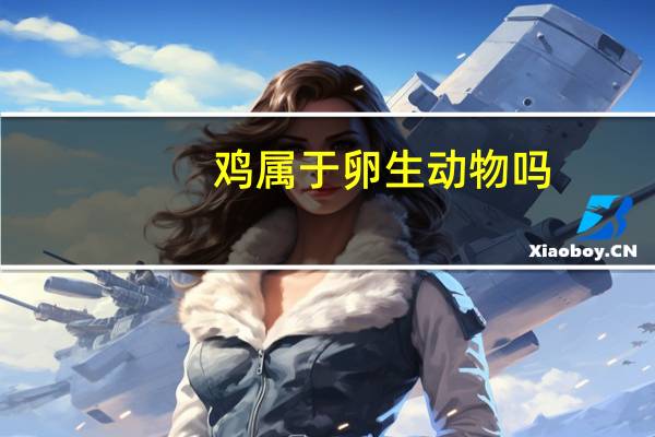 鸡属于卵生动物吗