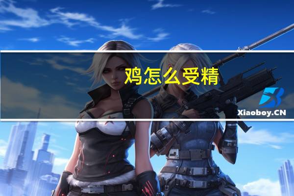 鸡怎么受精