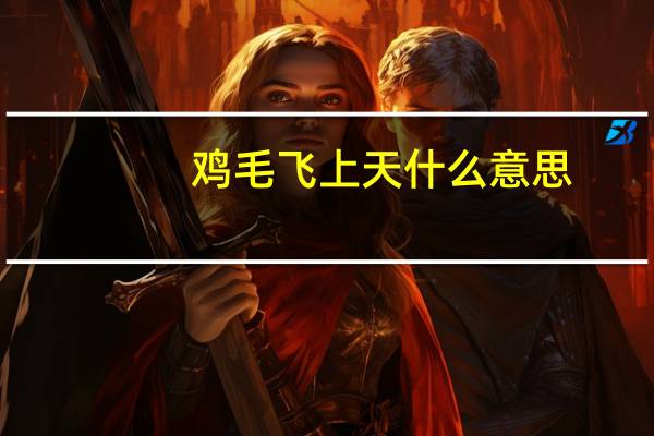 鸡毛飞上天什么意思
