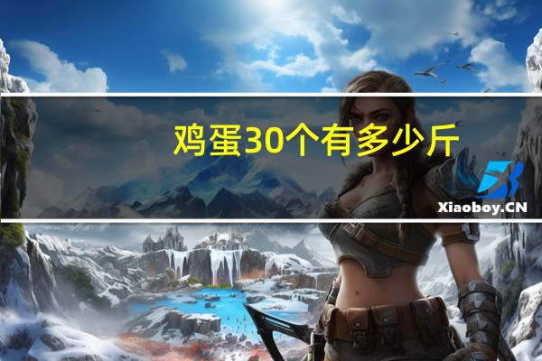 鸡蛋30个有多少斤