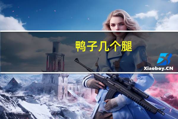 鸭子几个腿