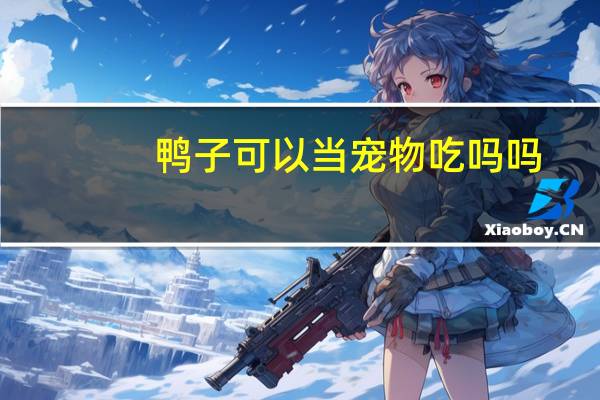 鸭子可以当宠物吃吗吗