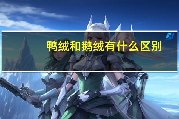 鸭绒和鹅绒有什么区别