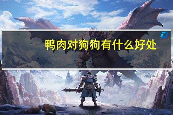 鸭肉对狗狗有什么好处