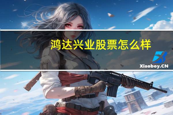 鸿达兴业股票怎么样