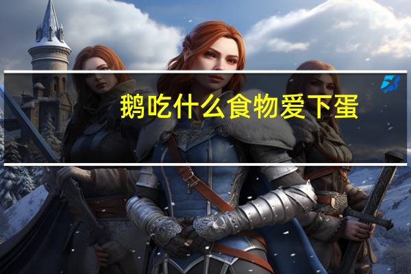 鹅吃什么食物爱下蛋
