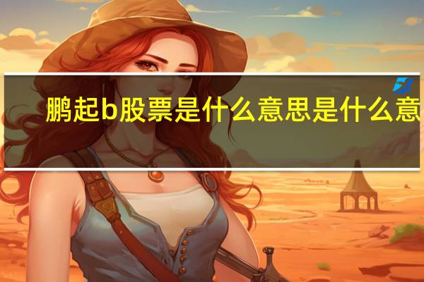 鹏起b股票是什么意思是什么意思
