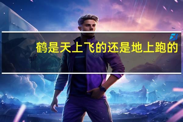 鹤是天上飞的还是地上跑的