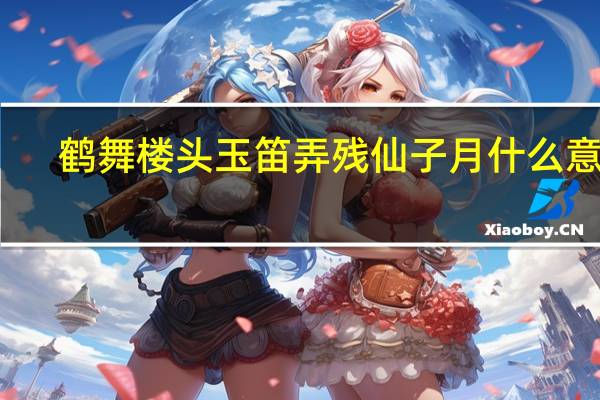 鹤舞楼头玉笛弄残仙子月什么意思