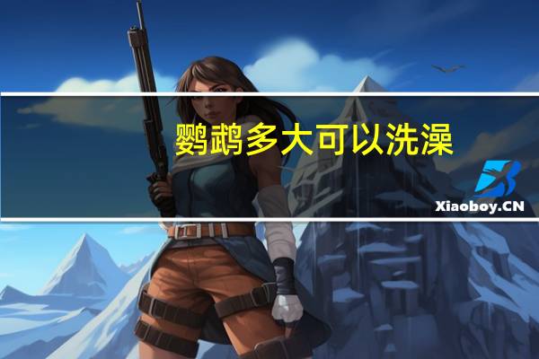 鹦鹉多大可以洗澡