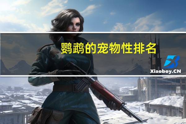 鹦鹉的宠物性排名