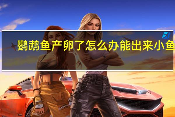 鹦鹉鱼产卵了怎么办能出来小鱼吗