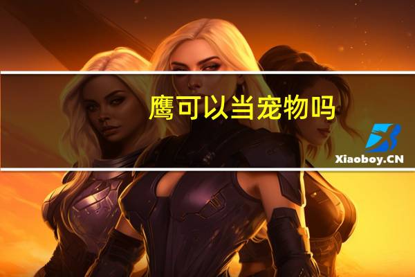 鹰可以当宠物吗