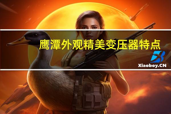 鹰潭外观精美变压器特点
