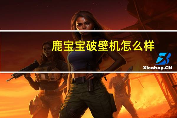 鹿宝宝破壁机怎么样