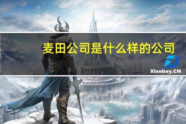 麦田公司是什么样的公司
