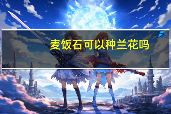 麦饭石可以种兰花吗