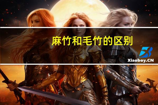 麻竹和毛竹的区别