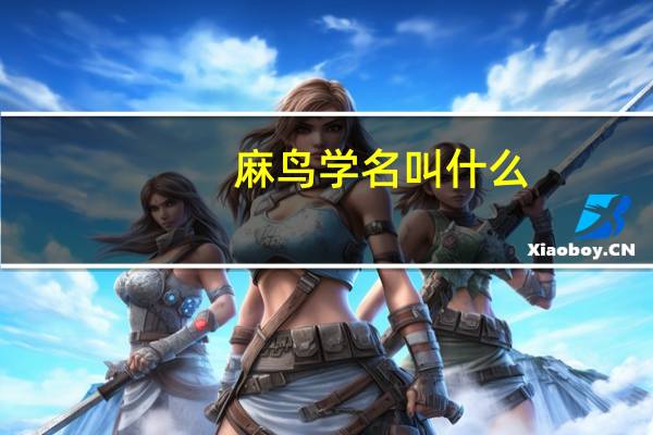 麻鸟学名叫什么