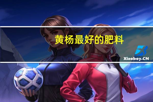 黄杨最好的肥料