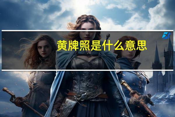 黄牌照是什么意思