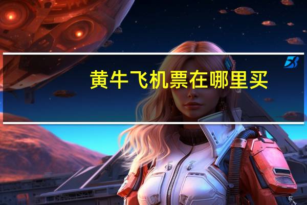 黄牛飞机票在哪里买