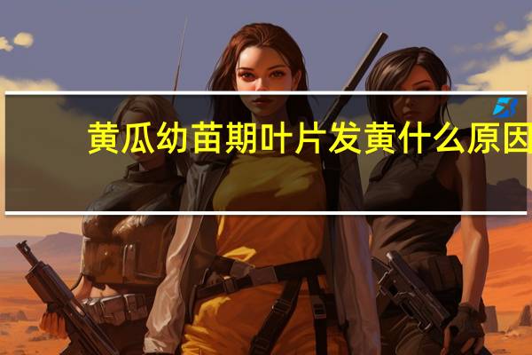 黄瓜幼苗期叶片发黄什么原因