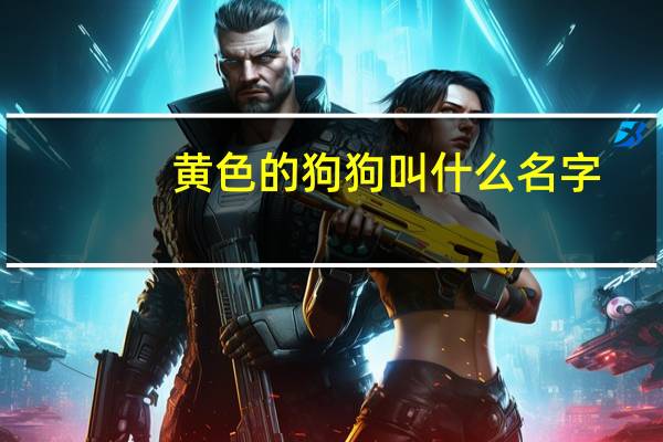 黄色的狗狗叫什么名字