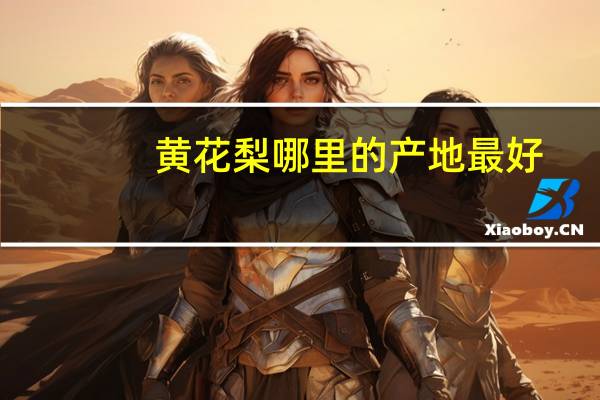 黄花梨哪里的产地最好
