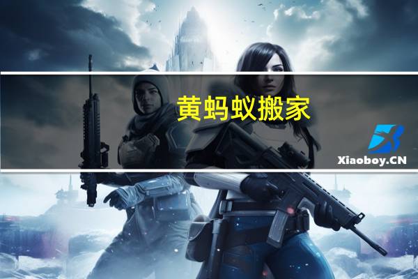 黄蚂蚁搬家