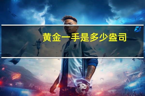 黄金一手是多少盎司