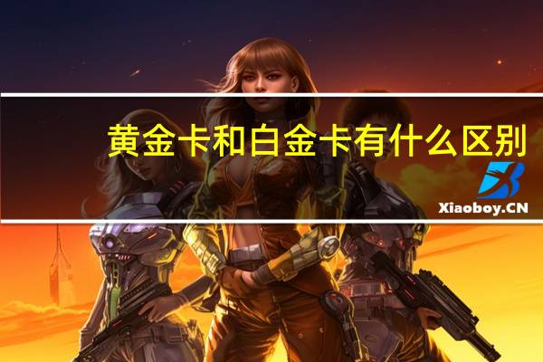 黄金卡和白金卡有什么区别