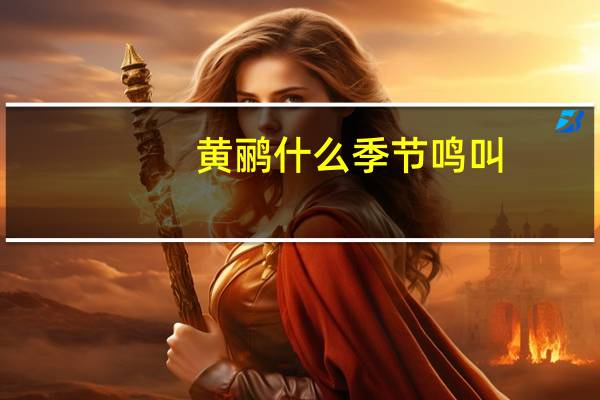 黄鹂什么季节鸣叫