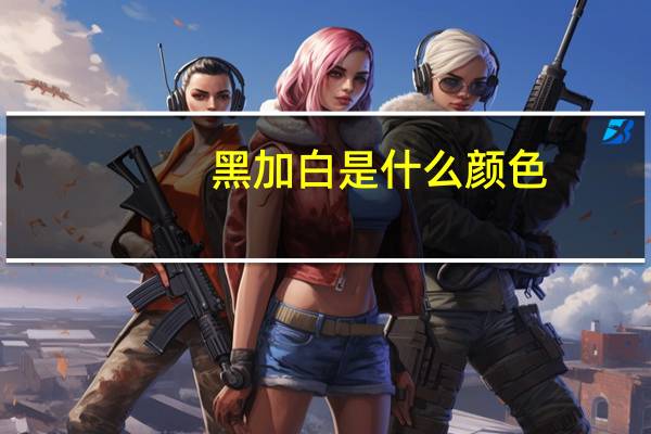 黑加白是什么颜色