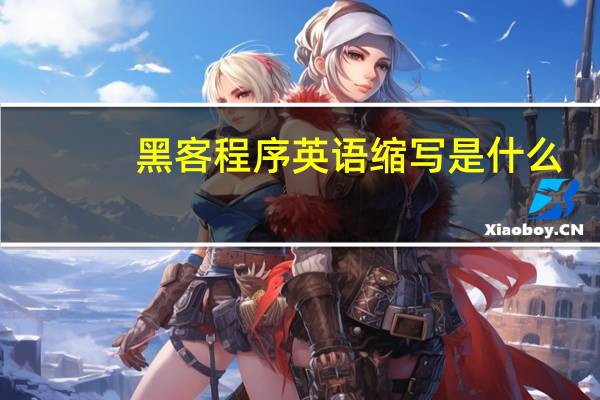 黑客程序英语缩写是什么