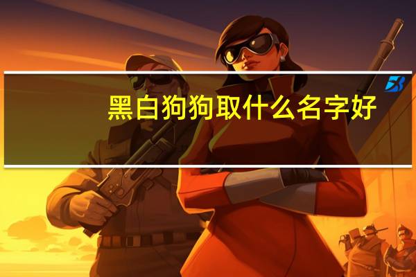 黑白狗狗取什么名字好