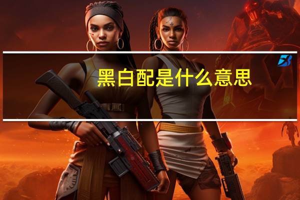 黑白配是什么意思
