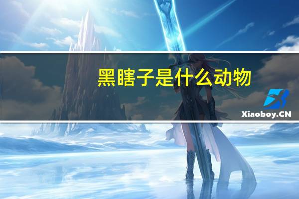 黑瞎子是什么动物
