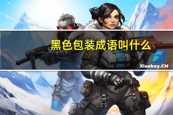 黑色包装成语叫什么