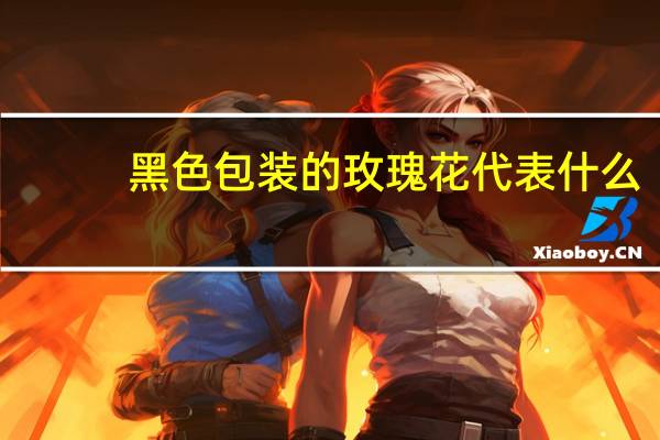 黑色包装的玫瑰花代表什么
