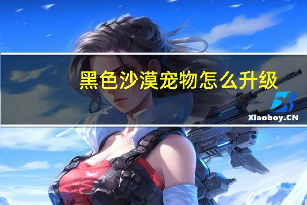 黑色沙漠宠物怎么升级