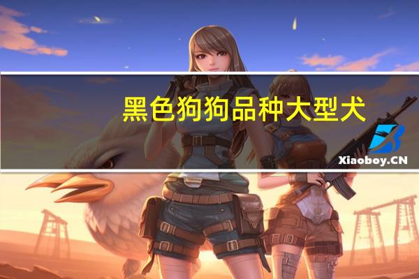 黑色狗狗品种大型犬