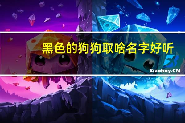 黑色的狗狗取啥名字好听