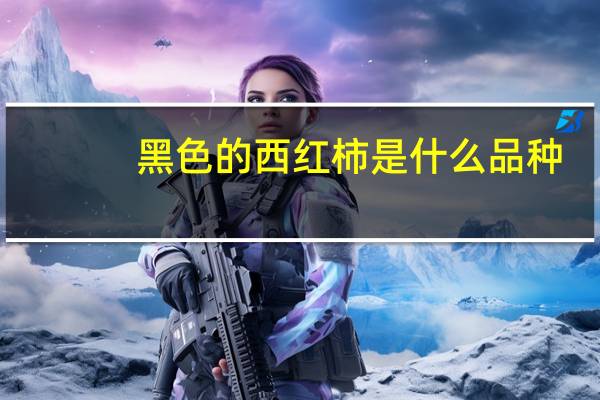 黑色的西红柿是什么品种