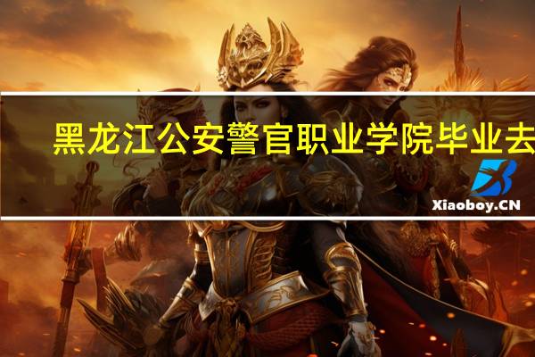 黑龙江公安警官职业学院毕业去向