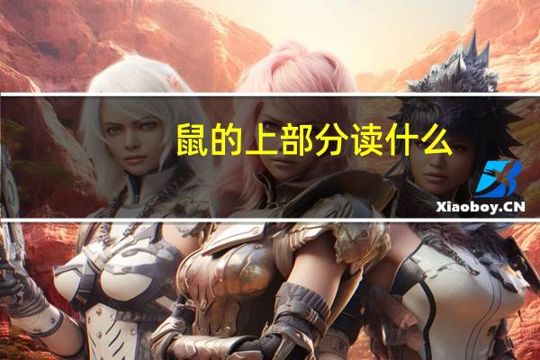 鼠的上部分读什么